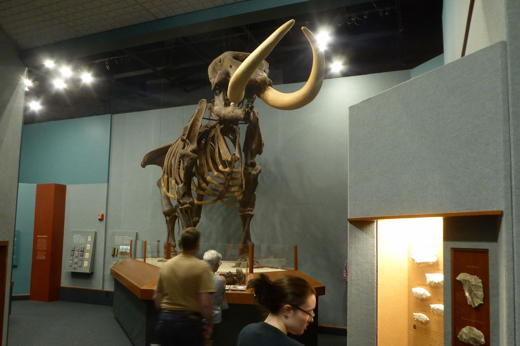 Museum of Florida History